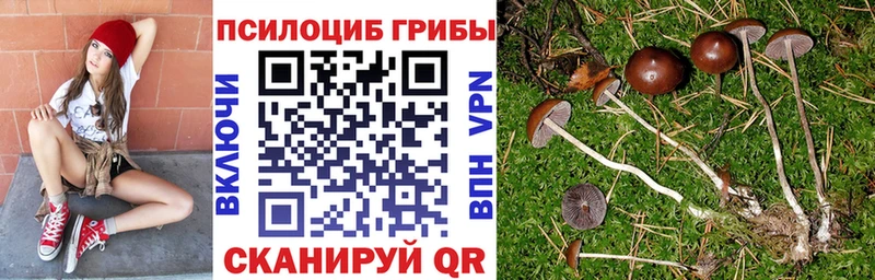 Псилоцибиновые грибы Cubensis  Данилов 