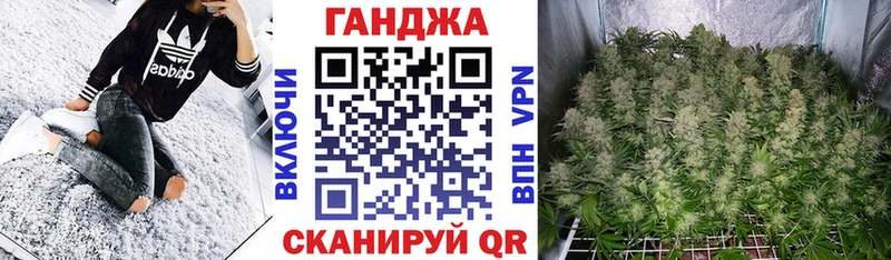 Бошки Шишки конопля  Данилов 